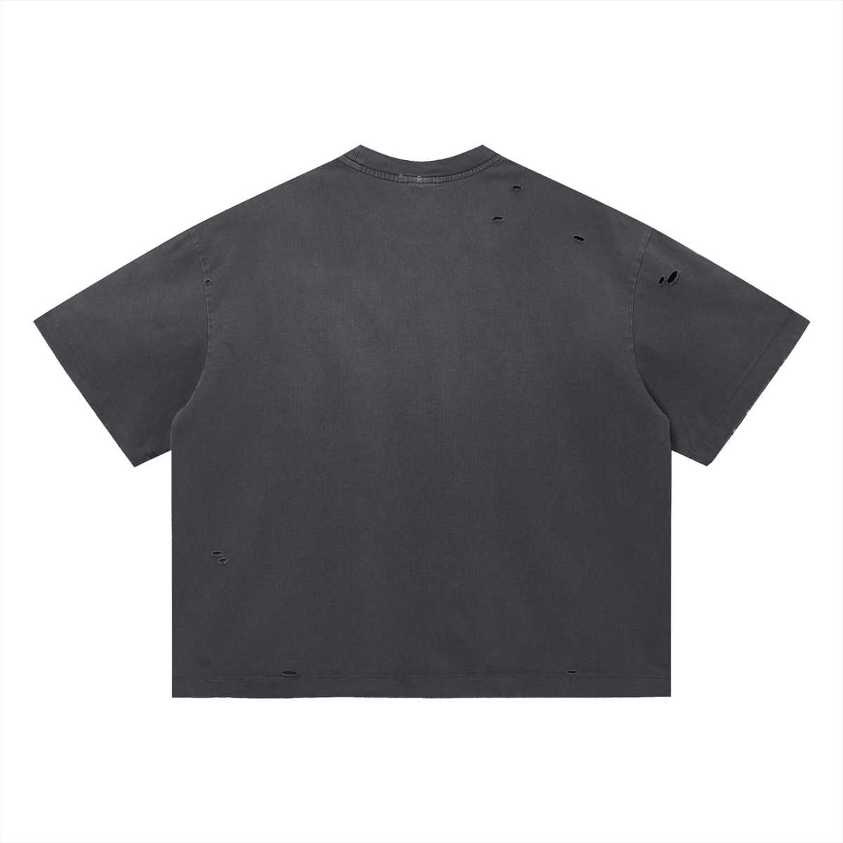 Cosmos Distressed Tee