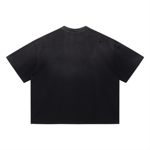 Cosmos Distressed Tee
